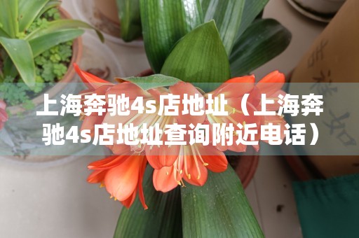 上海奔驰4s店地址（上海奔驰4s店地址查询附近电话）