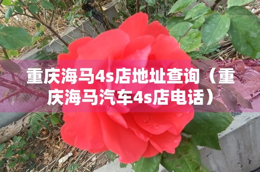 重庆海马4s店地址查询（重庆海马汽车4s店电话）